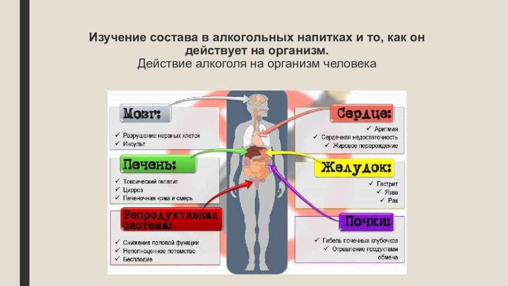 Влияние алкоголя на организм рисунок