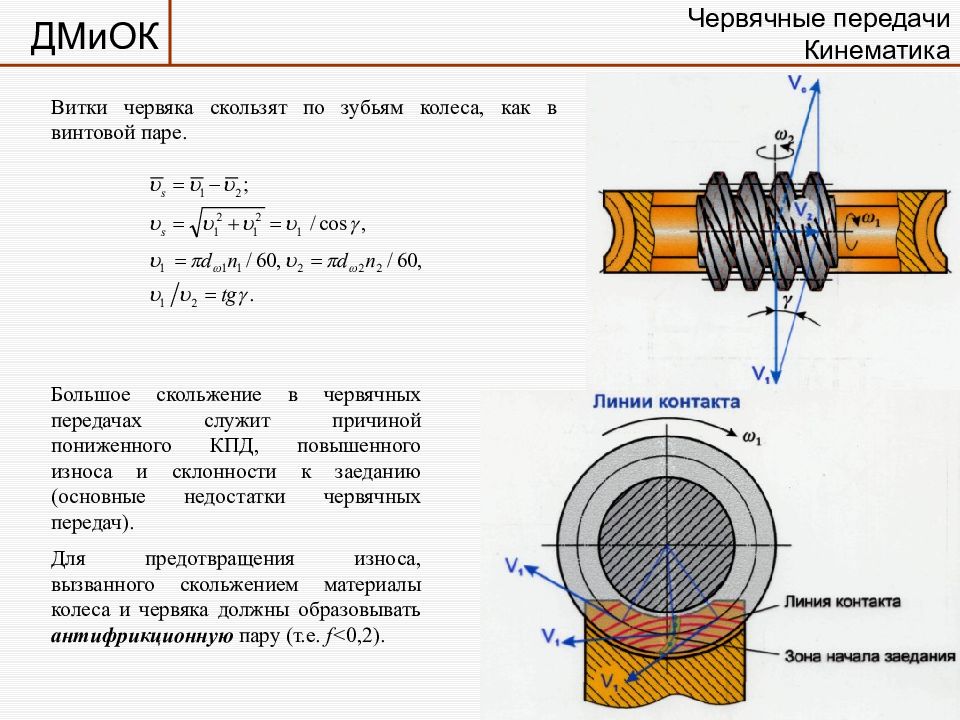 Червячья зона. Червячная передача презентация. Червячные передачи детали машин лекция. Червячная зона. Червячная зона картинки.