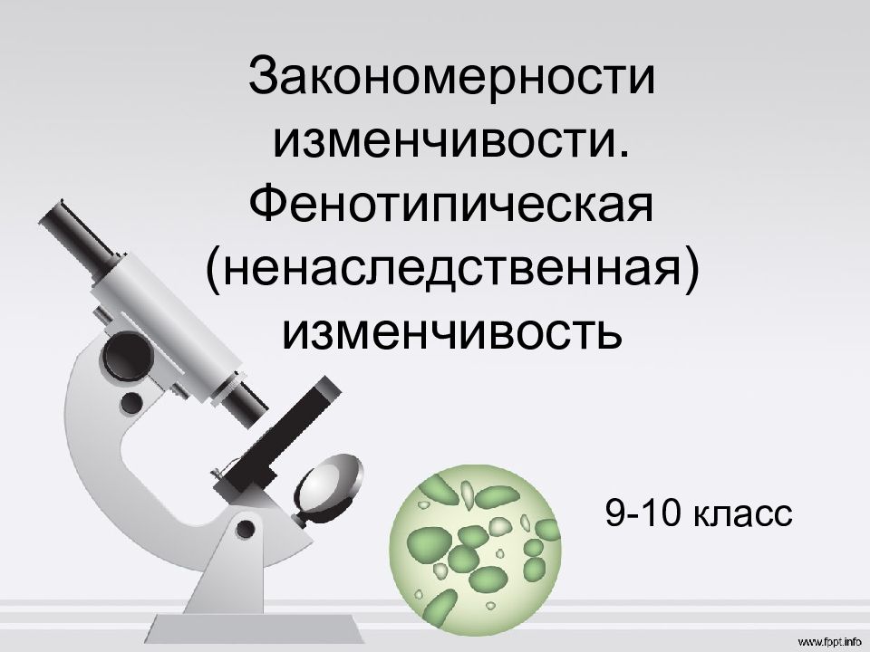Закономерности изменчивости. Фенотипическая (ненаследственная) изменчивость