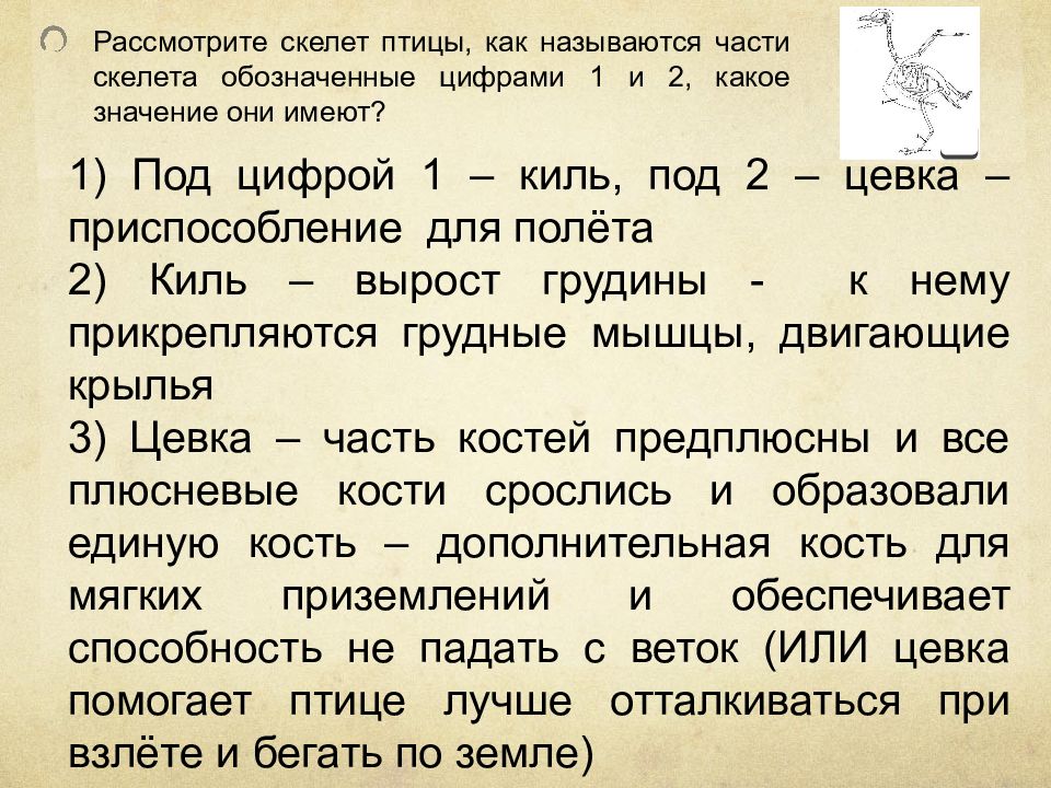 Они имеют. Скелет птицы задания. Задания на презентацию доклад как называется.