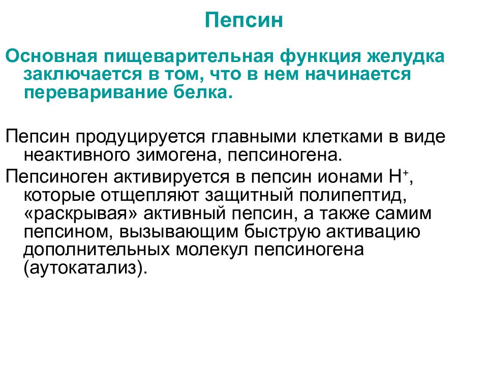 Пепсин каталитическая функция. Пепсин функция. Белок пепсин функция. Пепсин функция белка. Функция пепсина в желудке.