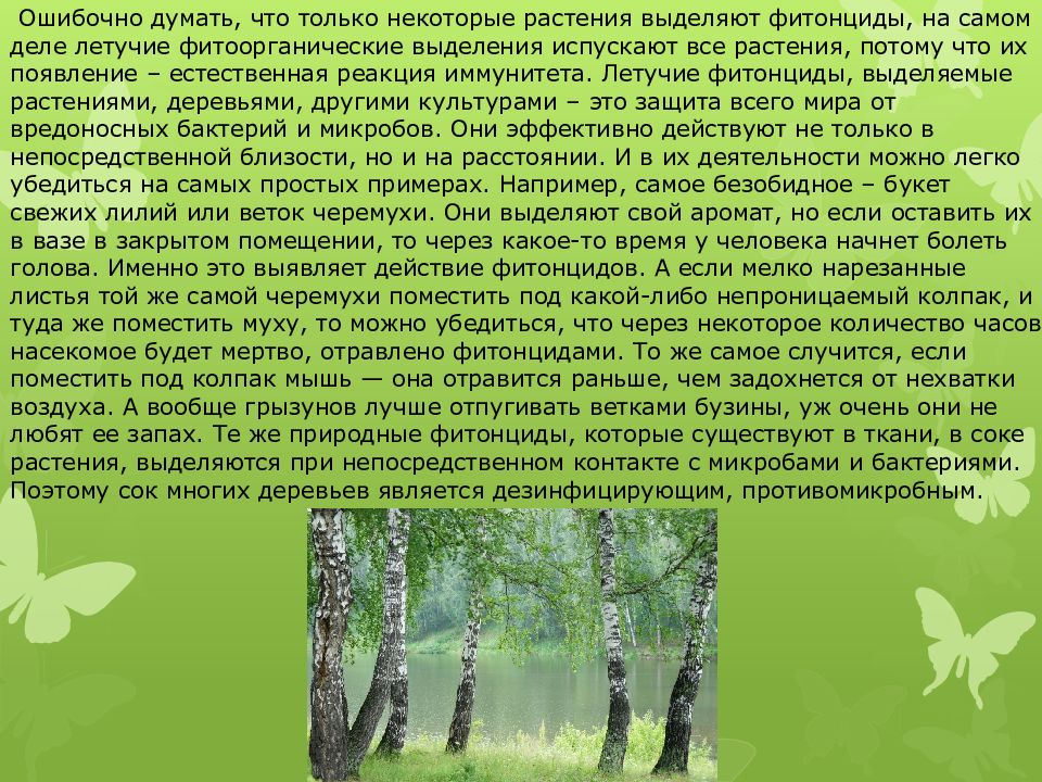 Влияние фитонцидов на сохранность пищевых продуктов проект