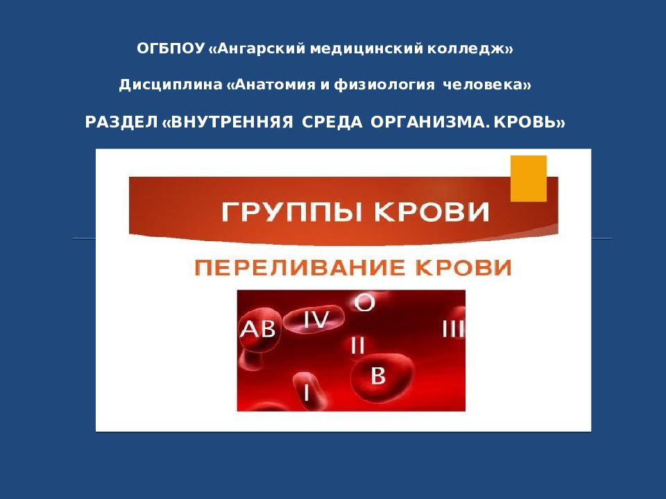 Презентации по анатомии и физиологии человека для медицинского колледжа