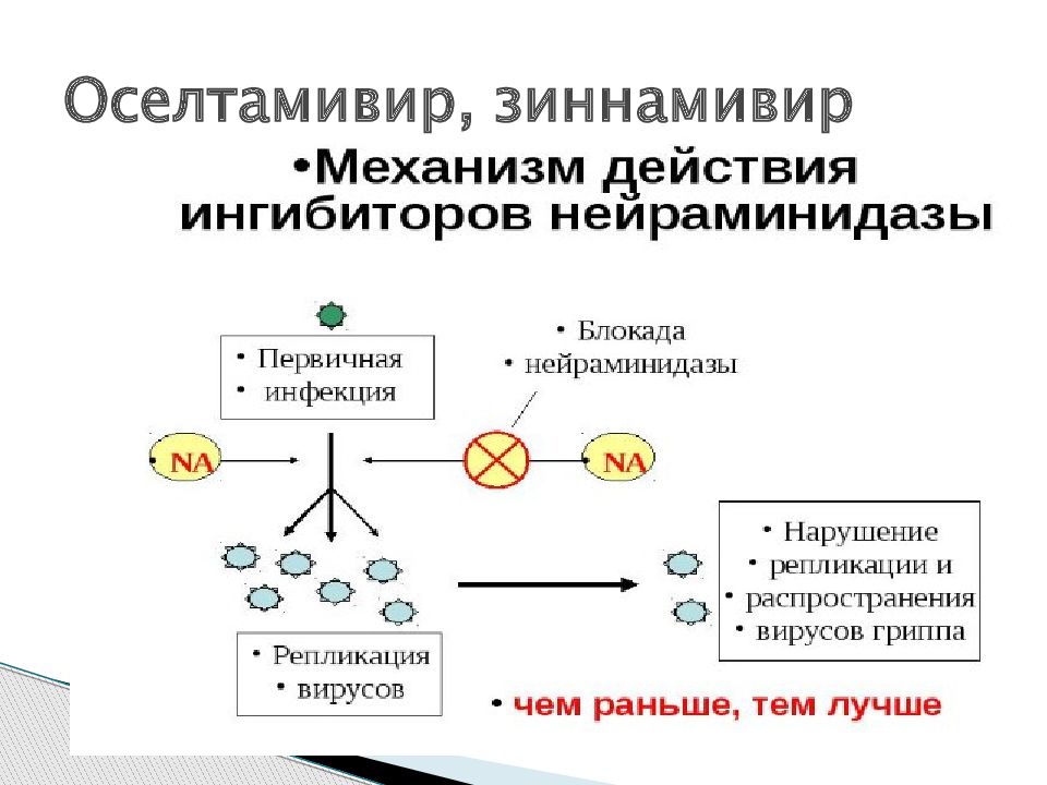 Противовирусные средства классификация. Схема действия противовирусных препаратов. Противовирусные препараты классификация механизм действия. Противовирусные средства механизм действия фармакология. Противовирусные препараты классификация фармакология.