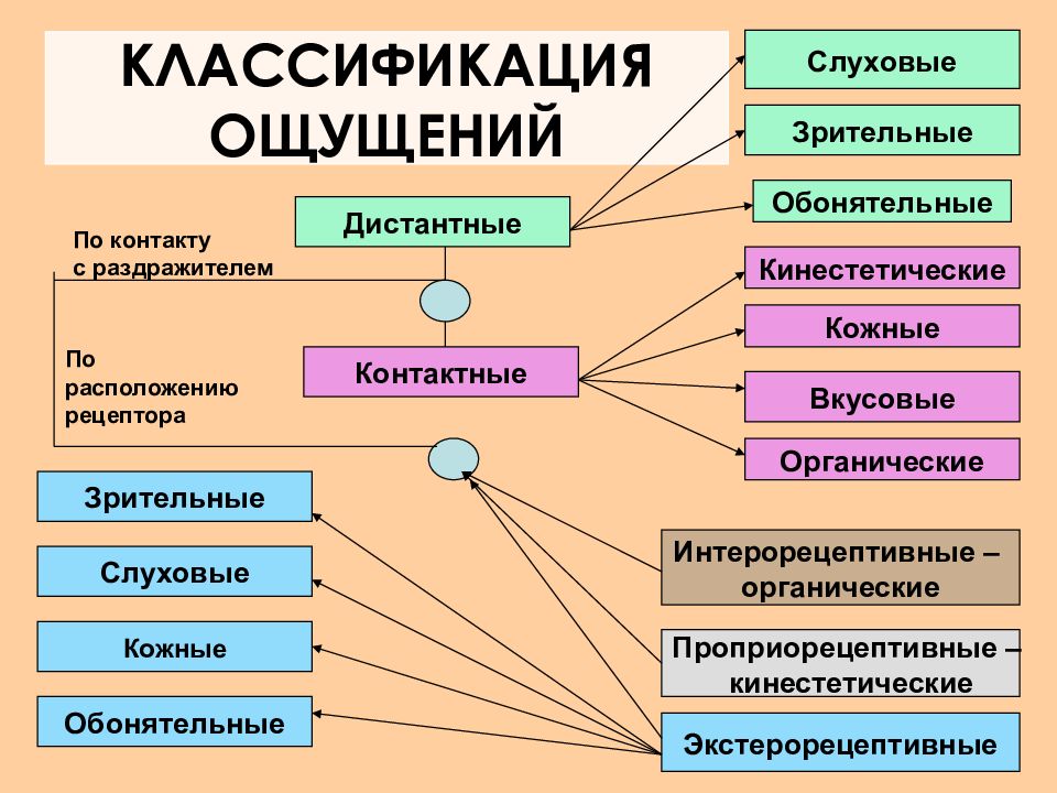 Презентация на тему ощущения