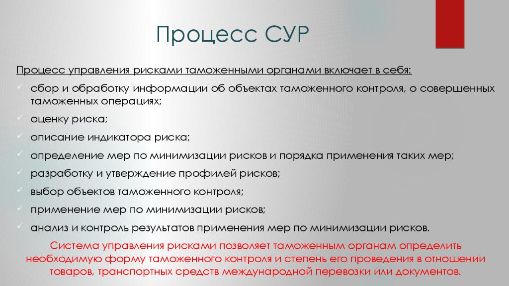 Включи органу. Система управления рисками при проведении таможенного контроля. Система управления рисками в таможенных органах. Сур система управления рисками. Этапы системы управления рисками в таможенном деле.