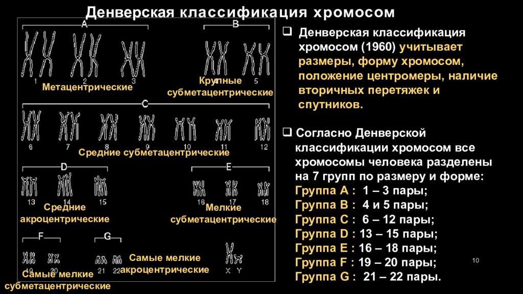 Хромосом группы d. Кариотип Денверская классификация. Кариотип человека Денверская классификация. Денверская классификация хромосом человека. Денверская и Парижская классификация хромосом.