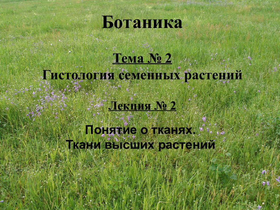 Ботаника Тема № 2 Гистология семенных растений Лекция № 2 Понятие о