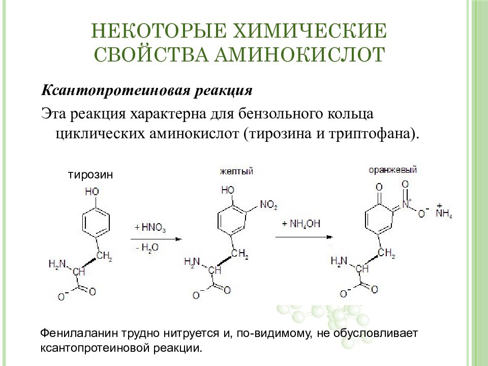 Фенилаланин аминокислота формула. Триптофан химические свойства реакции. Ксантопротеиновая реакция на тирозин. Фенилаланин тирозин триптофан.