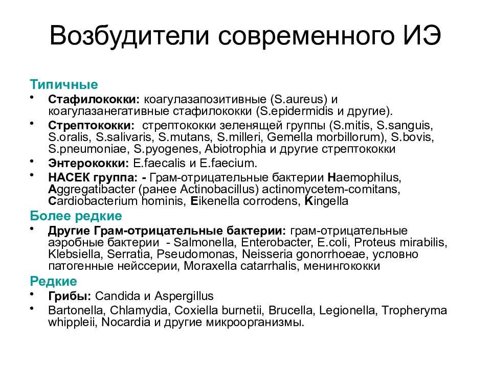 Современные возбудители. Основные возбудители ИЭ. Наиболее частый возбудитель ИЭ. Наиболее часто встречающийся возбудитель при современном ИЭ?.