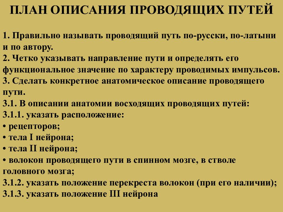 Презентация проводящие пути спинного и головного мозга