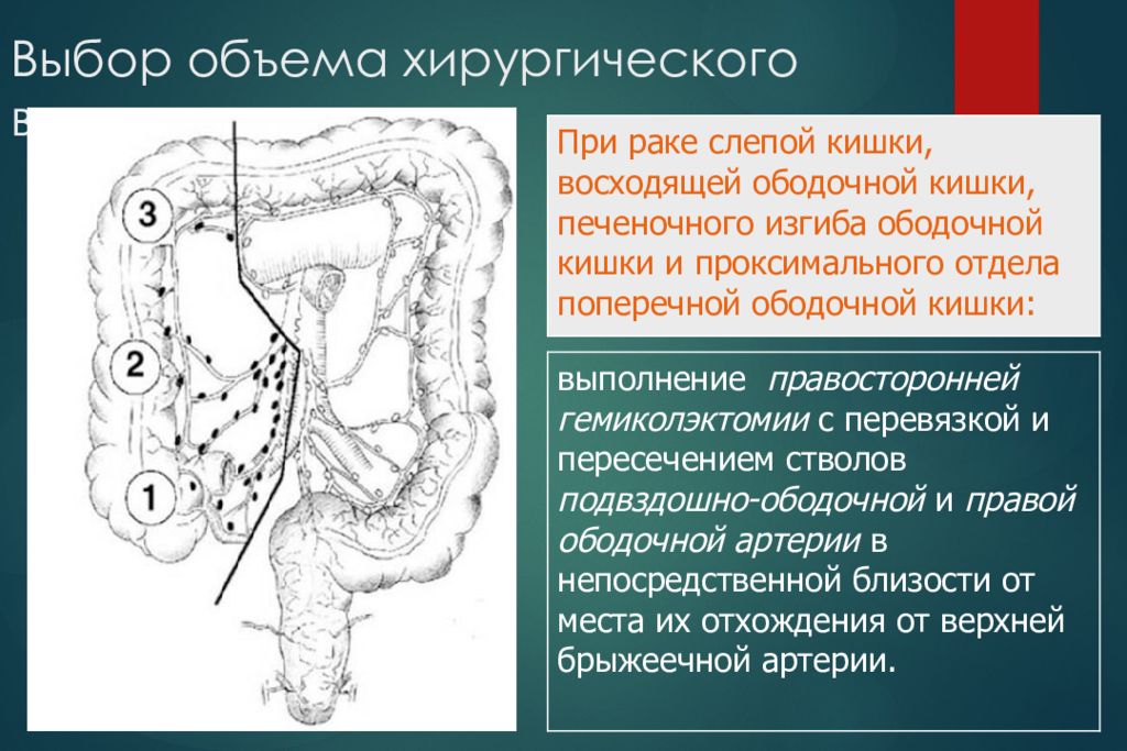 Колоректальный форум