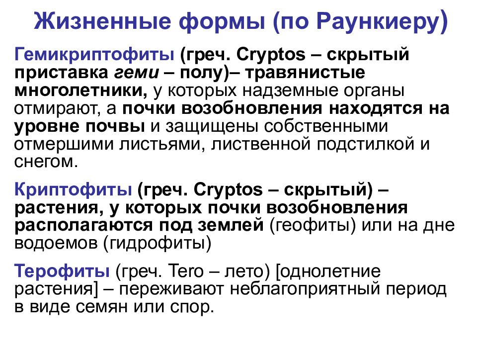 Фанерофиты хаметрофиты геми. Гемикриптофиты представители. Жизненные формы растений по раункиеру гемикриптофиты. Гемикриптофиты это. Гемикриптофиты.
