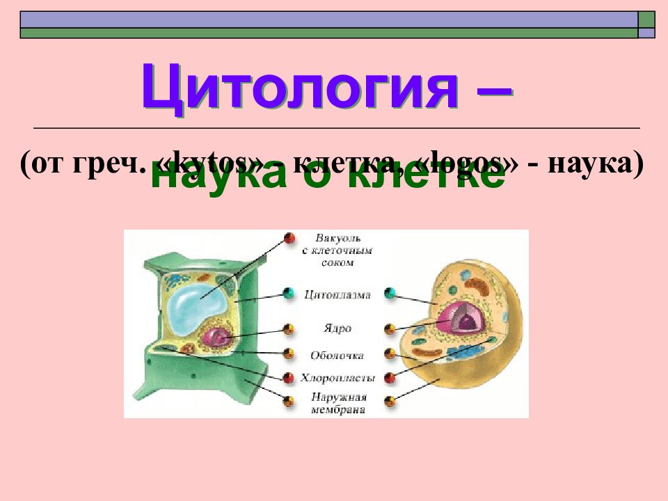 Клеточная теория наука. Цитология наука о клетке. Цитоплогия наука ок Летке. Цитология -учение о клетке. Цитология наука о клетке презентация.