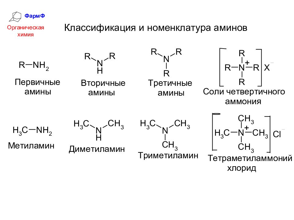 Первичный насыщенный амин. Первичный вторичный третичный Амин. Первичные вторичные и третичные Амины. Третичные и четвертичные Амины. Первичные вторичные и третичные Амины строение.