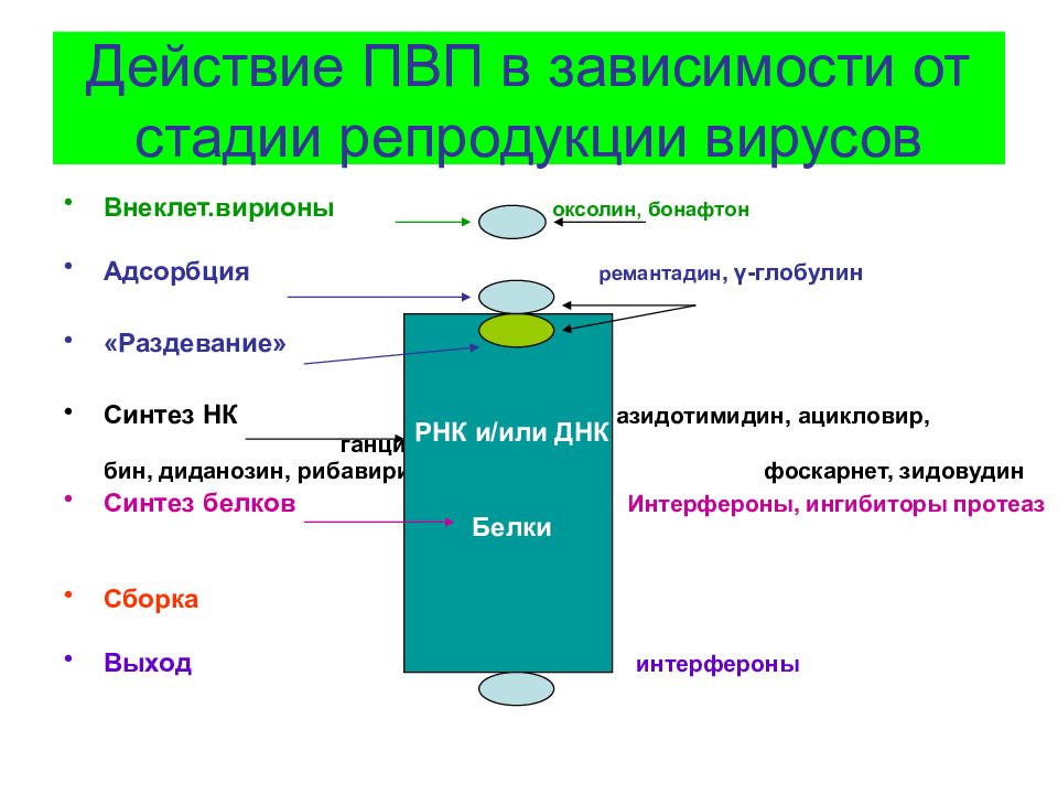 Противовирусные препараты презентация