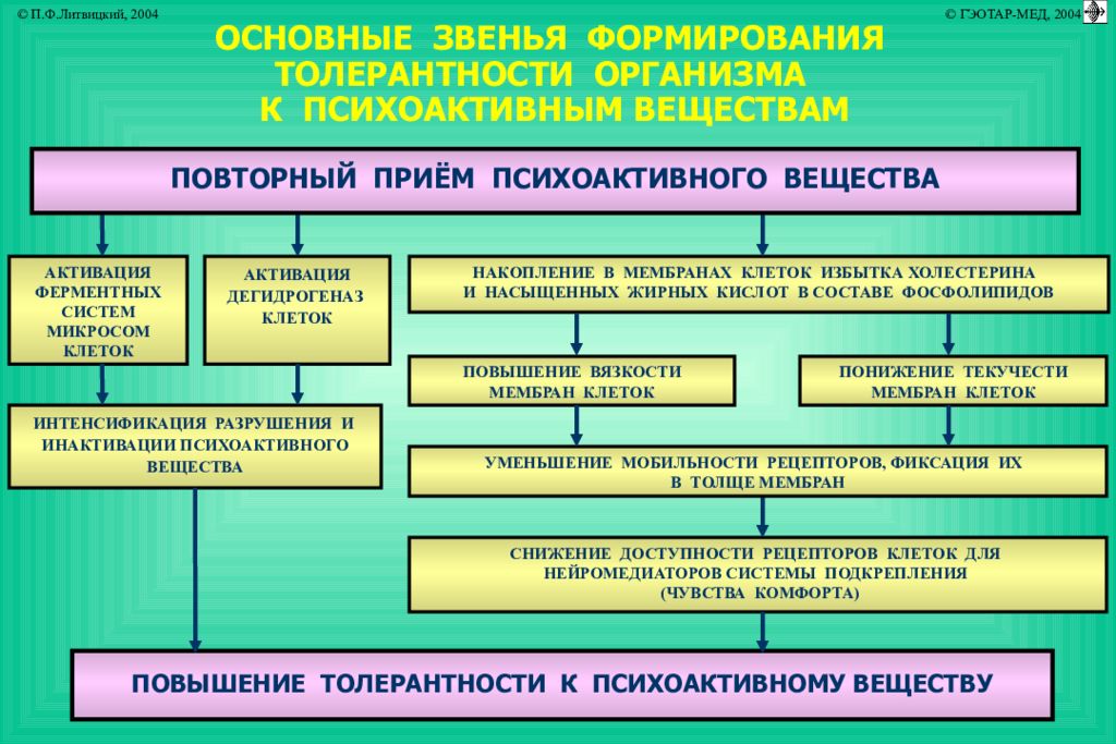 Повторный прием. Общие звенья патогенеза язвенной болезни. Основное звено патогенеза язвенной болезни желудка. Основные звенья формирования толерантности организма. Патофизиология пищеварения презентация.