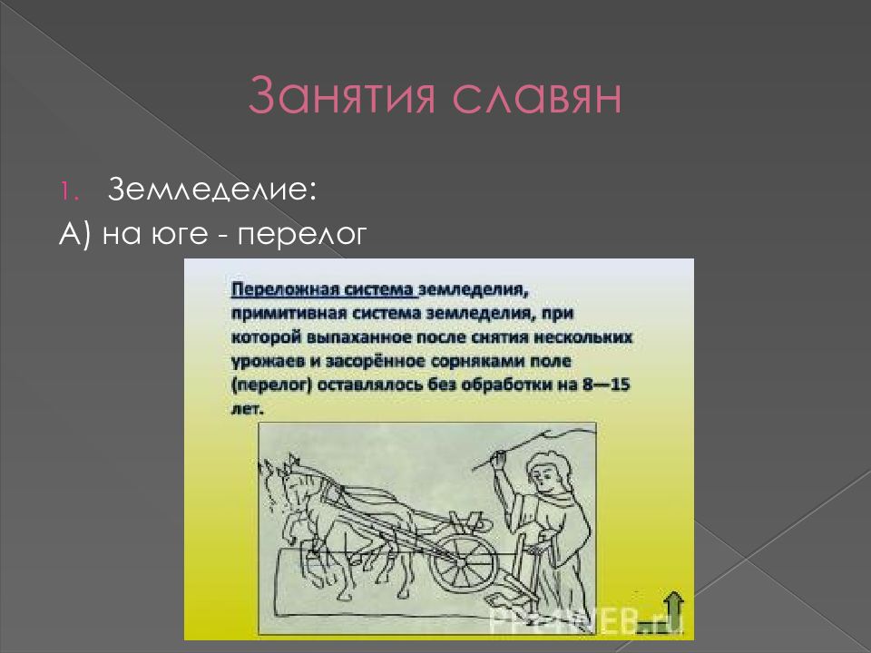 Перелог. Перелог земледелие. Переложно залежная система земледелия. Переложное земледелие век. Переложное земледелие на юге.