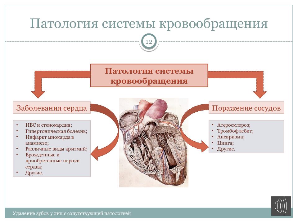 Патология системы кровообращения презентация