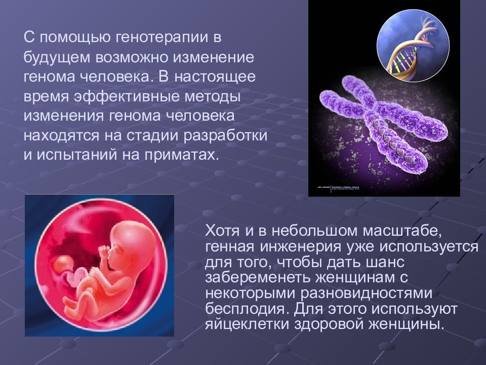 Презентация по теме генная инженерия