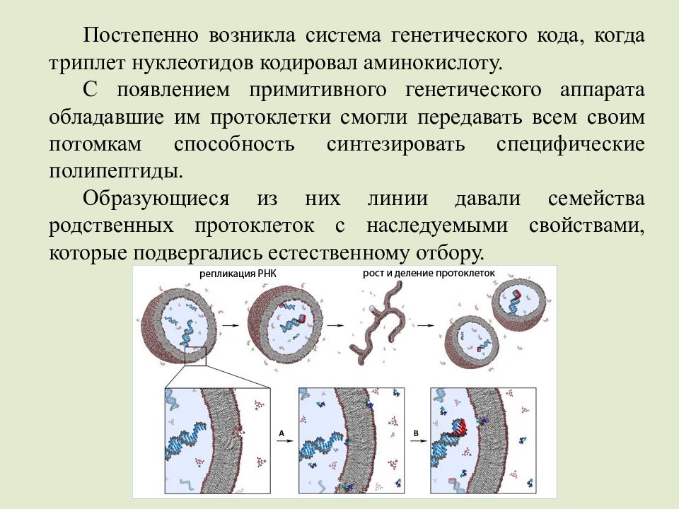 Когда появилась система