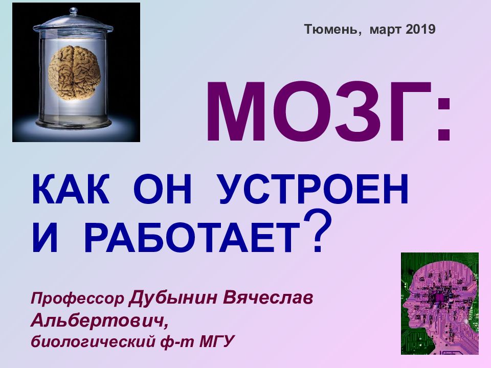 1 1 МОЗГ: КАК ОН УСТРОЕН И РАБОТАЕТ ? Профессор Дубынин