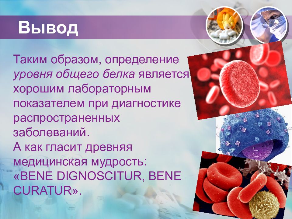 Фракции общего белка крови