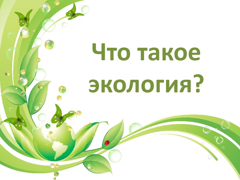 Что такое экология?