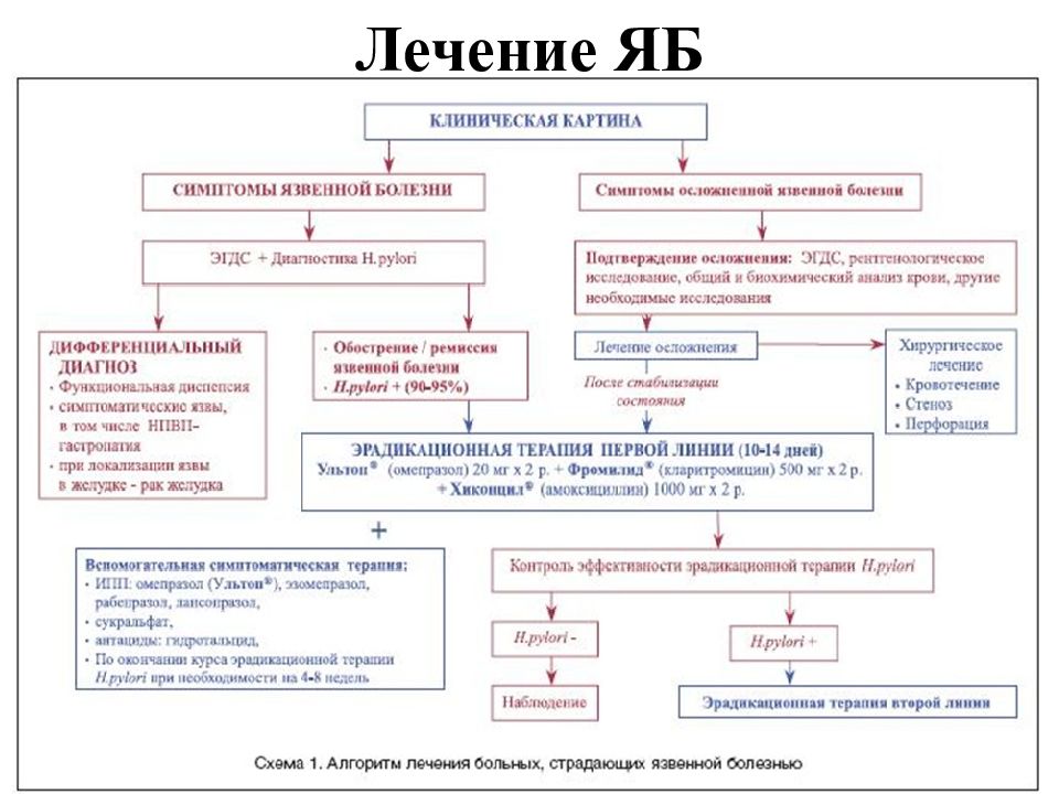 Терапия язвы желудка схема