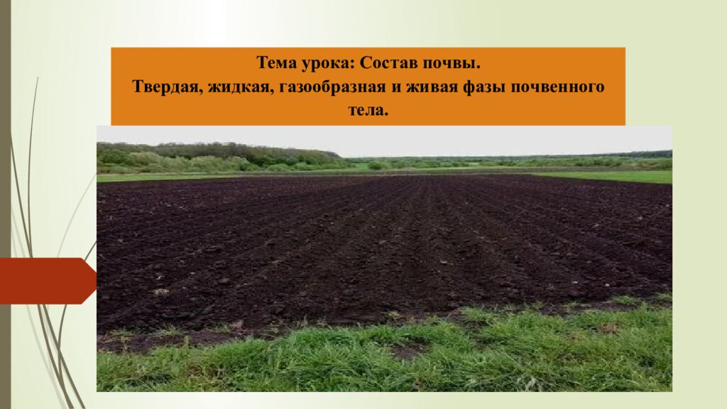 Тема урока: Состав почвы. Твердая, жидкая, газообразная и живая фазы почвенного