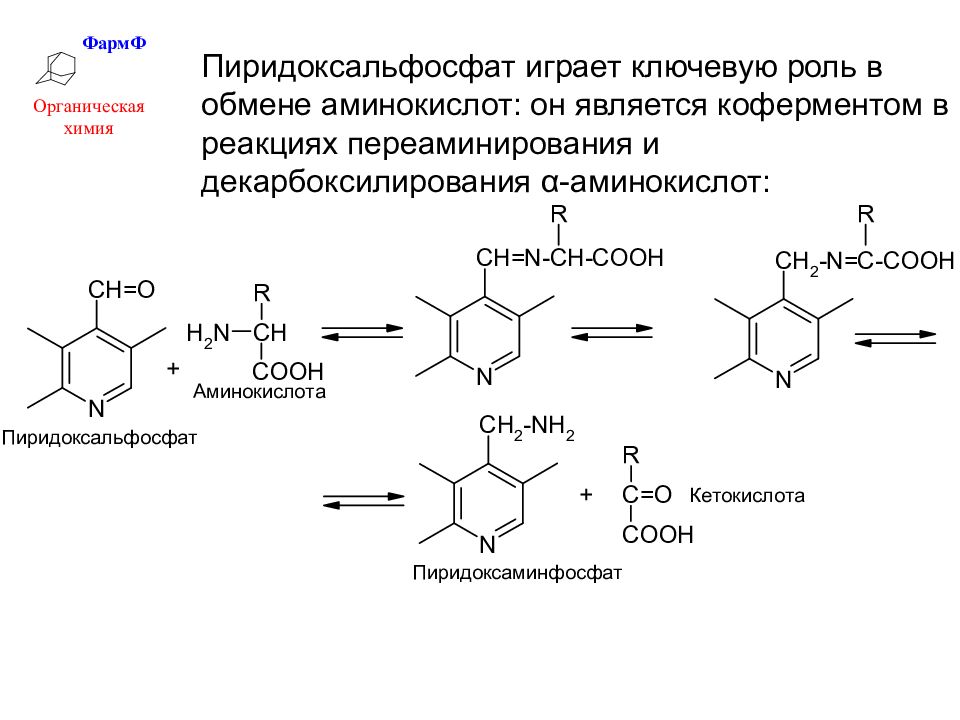 Аминокислоты это ферменты. Декарбоксилирование аминокислот витамин в6. Трансаминирование витамина в6. Схему реакции получения фенилгидразона пиридоксальфосфата. Пиридоксальфосфат кофермент реакции.