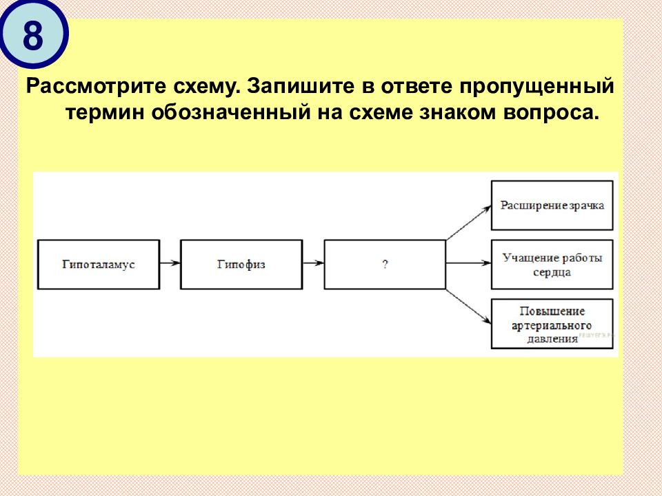 Термином обозначается. Запиши понятие, пропущенное в схеме. ￼. Рассмотрите схему. Пропущенный термин, обозначенный на схеме знаком вопроса. Ответ:. Рассмотрите схему. Запишите в ответе пропущенный термин.