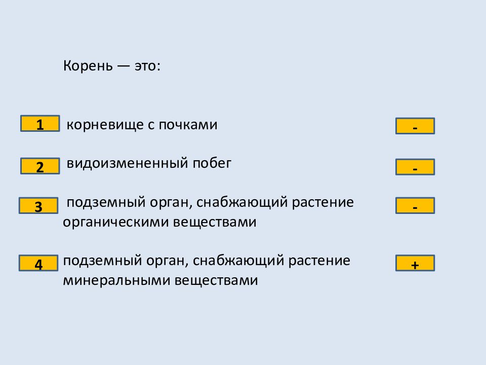 Презентация 6 класс тест