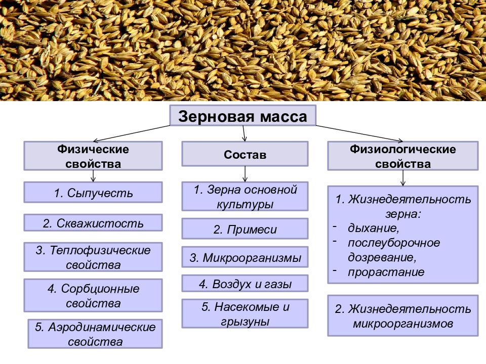 Первая классификация. Классификация пищевых производств.