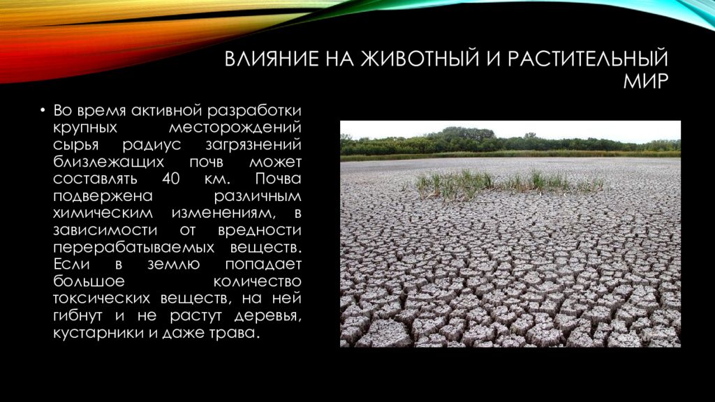 Влияние добычи. Влияние животных на почву. Влияние добычи полезных ископаемых на атмосферу. Влияние на растения и животных добывание полезных ископаемых. Влияние животных и растений на почву.