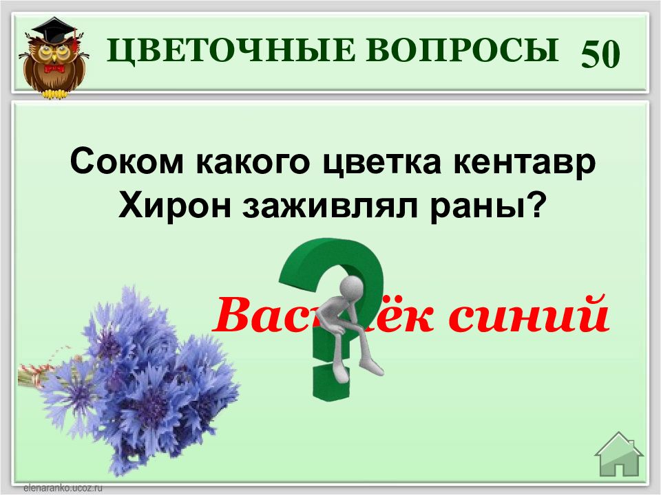 Цветочный вопрос