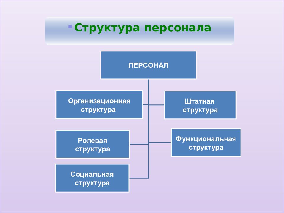 Социальная структура персонала. Структура социальной структуры персонала. Структура персонала организации. Структура консульских учреждений.