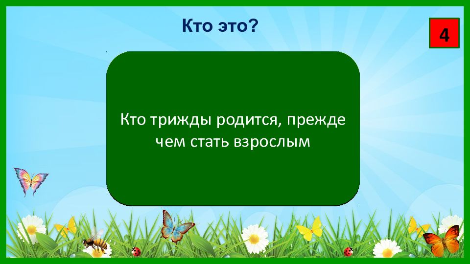 Экологическое ассорти для начальной школы с презентацией