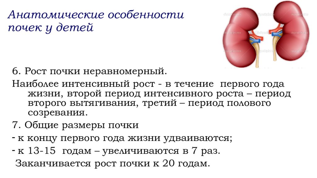 Анатомо физиологические особенности мочевыделительной системы у детей презентация