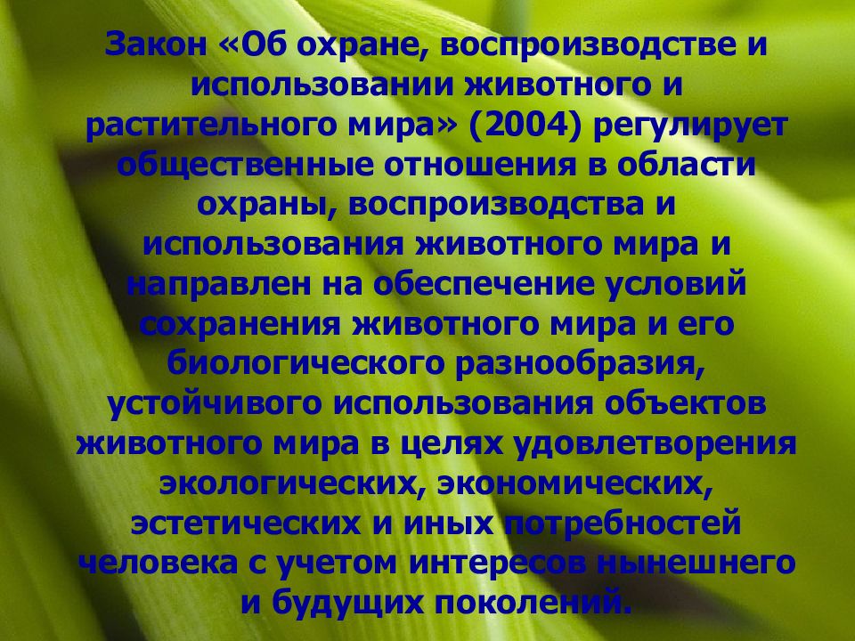 Охрана растительного. Законы об охране животного мира. Закон об охране и использовании животного мира. Законы об охране растительного мира. Использование и охрана животного мира.