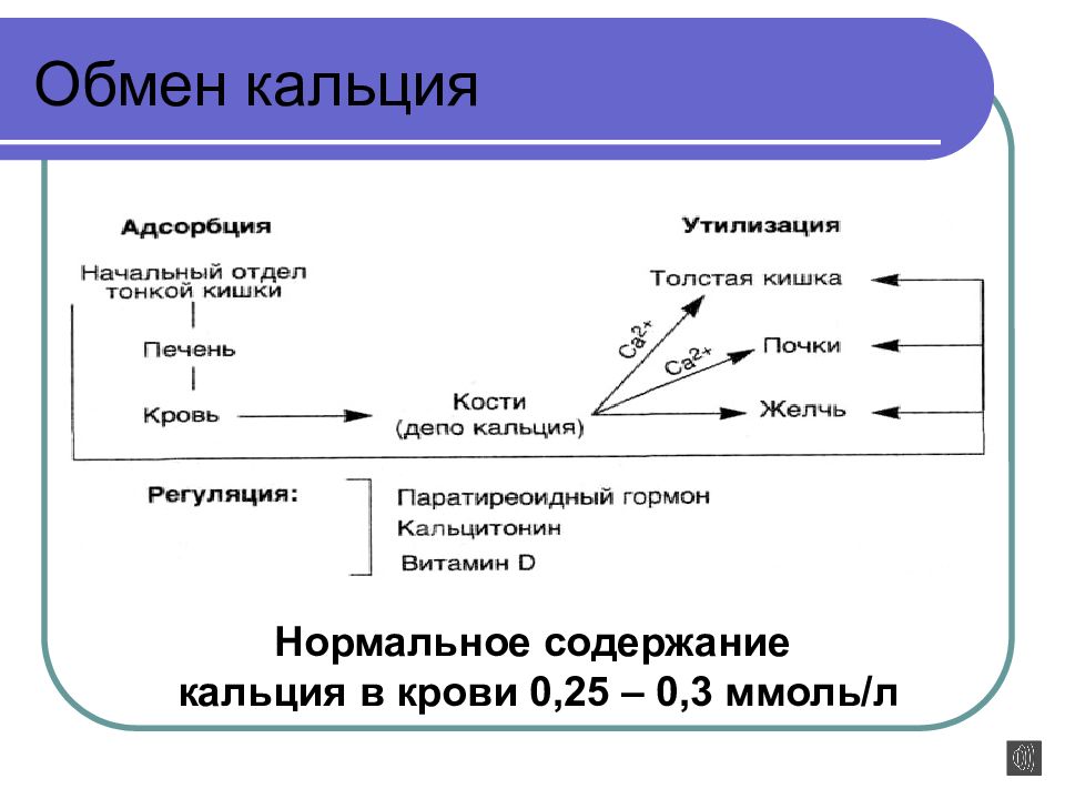 Обмен кальция презентация