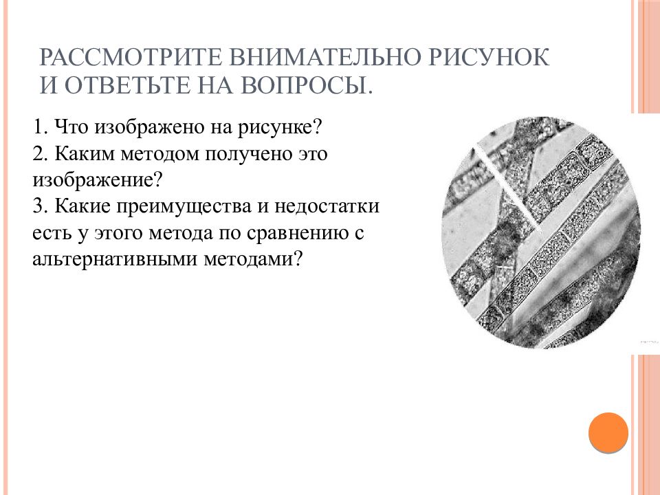 Что изображено на рисунке каким методом. Методы биологических исследований иллюстрации методов. Метод торговли изображенный на рисунке ниже это метод. Какой метод биологии изображен на фотографии. Внимательно рассс.