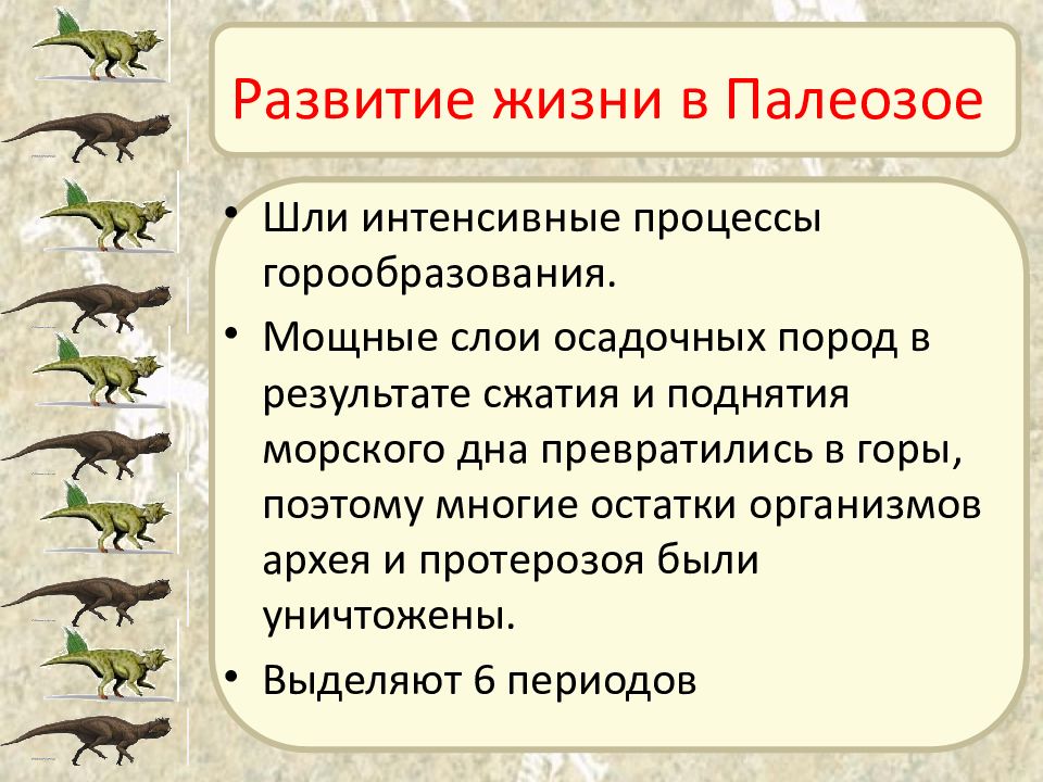 Эра палеозой таблица. Этапы развития жизни. Этапы эволюционного развития.