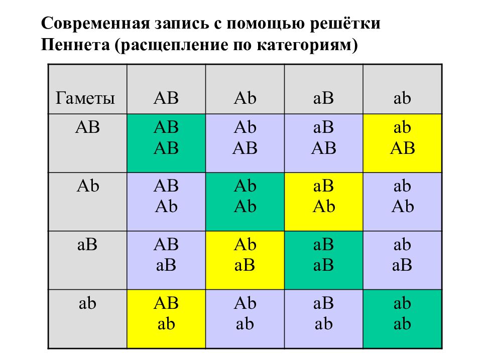 Решетка пеннета. Генетика решетка Пеннета. Решетка Пеннета для дигибридного скрещивания. Решётка Пеннета для дигибридного. Расщепление 1 2 1 решетка Пеннета.