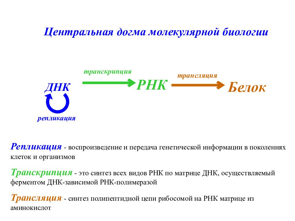 Тема 3. Контактная информация в презентации. Трансляция передача информации презентация. Комментарии к трём основам.