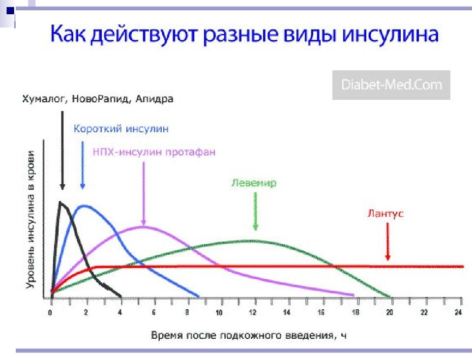 Для суточной дозы базального инсулина при традиционной схеме инсулинотерапии