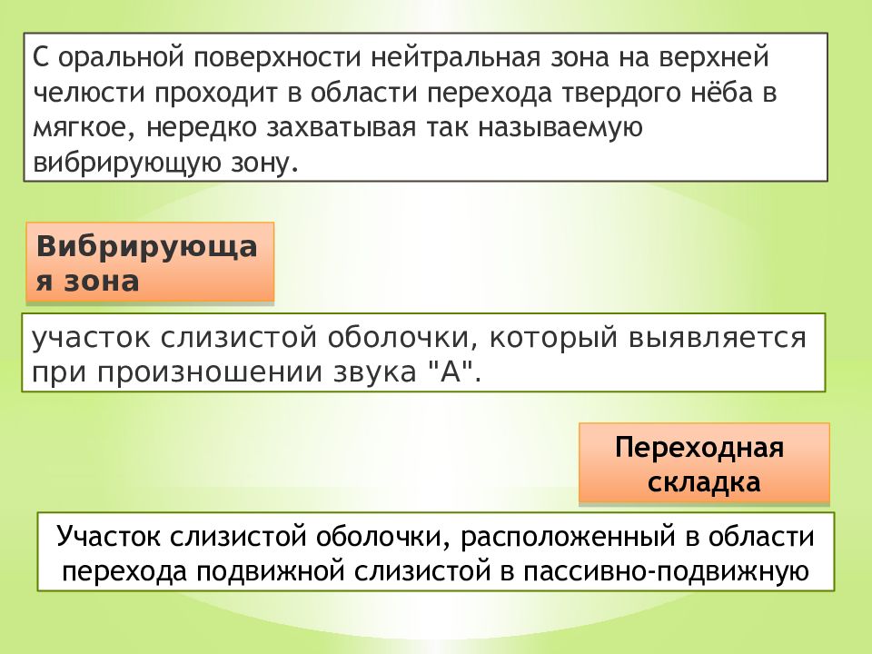 Нейтральная зона. Пассивно подвижная слизистая. Переходная складка и нейтральная зона. Пассивно подвижная слизистая оболочка это. Понятие нейтральная зона стоматология.