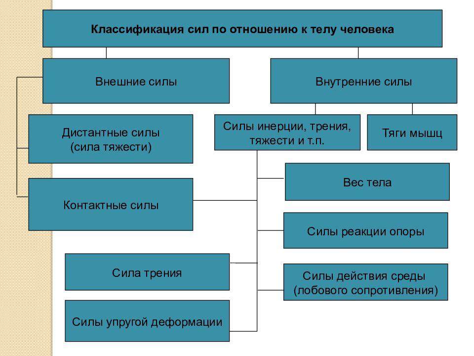 Внешнее относительно. Сила классификация сил. Классификация внутренних сил. Внешние и внутренние силы в движении человека.. Силы внутренние относительно тела человека..