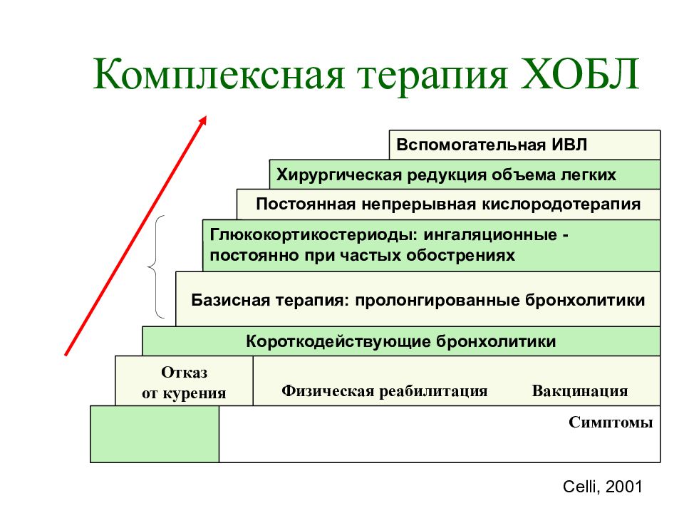 Хобл пропедевтика внутренних болезней презентация