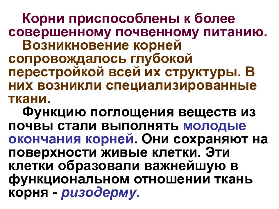 Корни происхождения названия экономики как науки. Происхождение корневища. Происхождение корня. Возникновение корень. Функции поглощающего материала.